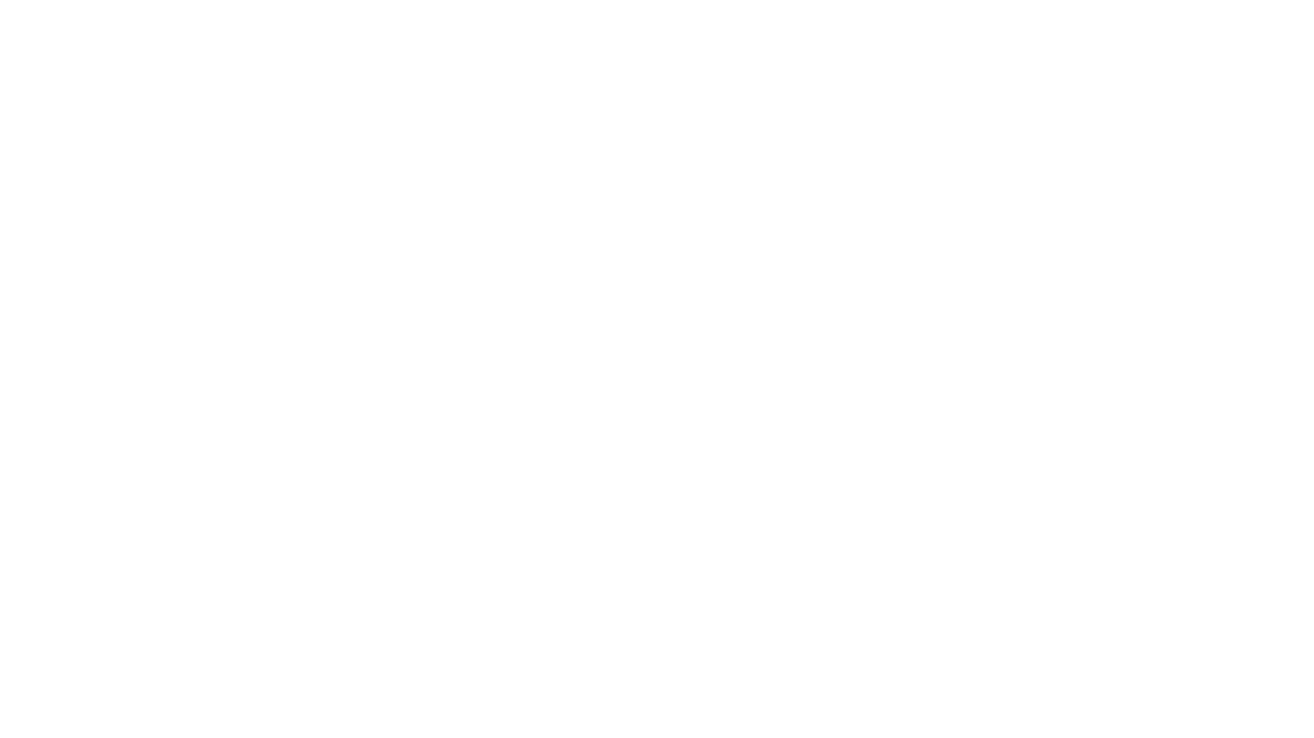 Bargain Auto Parts and Accessories